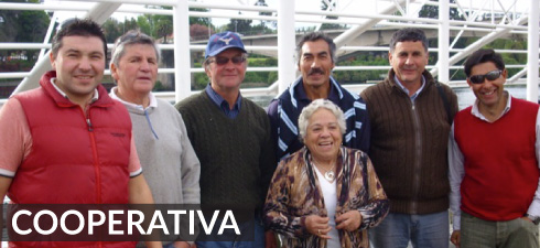 cooperativa