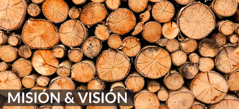 mision-vision
